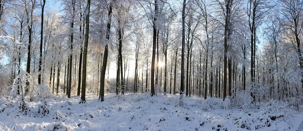 Tram 82 Scenic Route