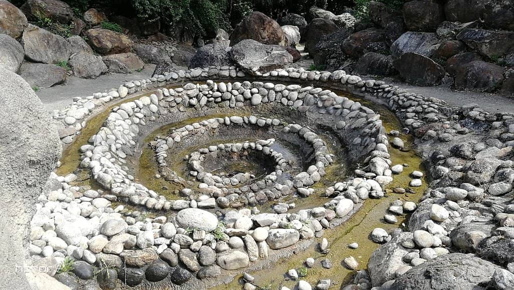 Life-Sized Creatures