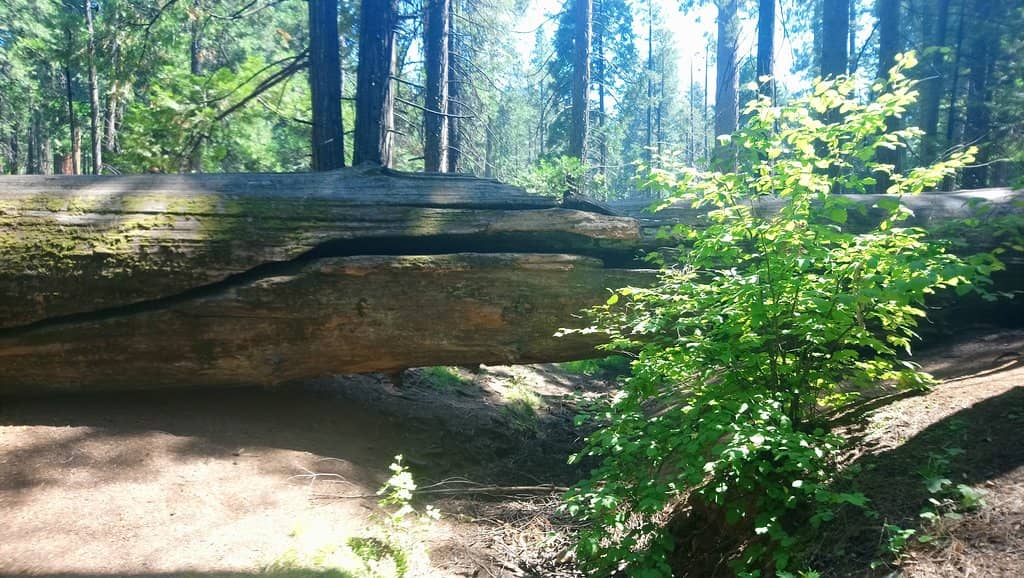 Visitor Center & Museum