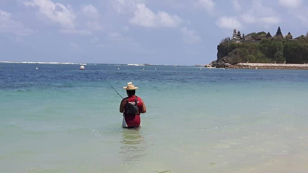 Tranquil Swimming Waters