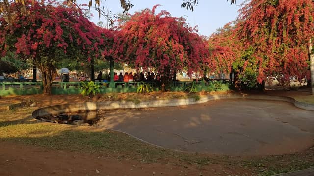 FEIMA Craft Market Maputo (2026) – Best of TikTok, Instagram & Reddit ...