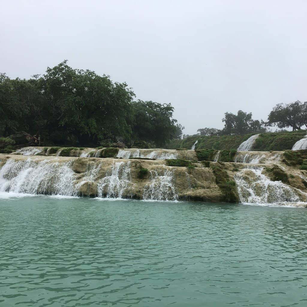 Lush Greenery and Picnic Spots