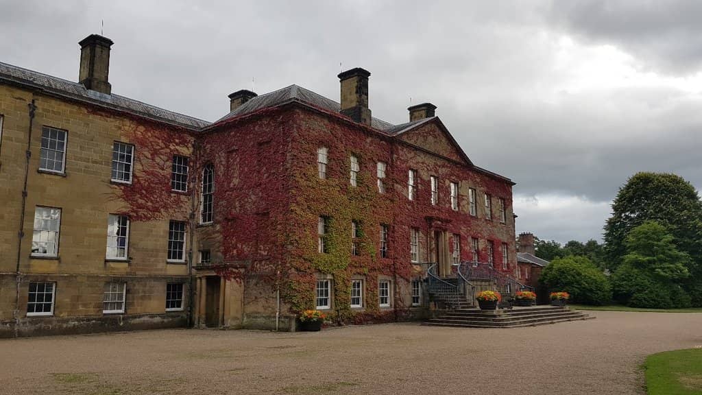 Ancient Woodlands & Dog-Friendly Walks