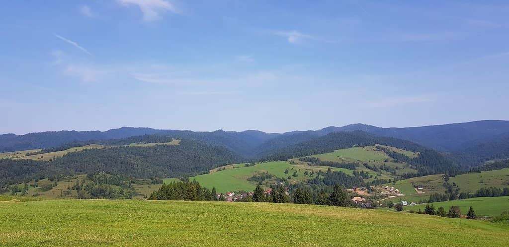 Autumn Foliage Spectacle