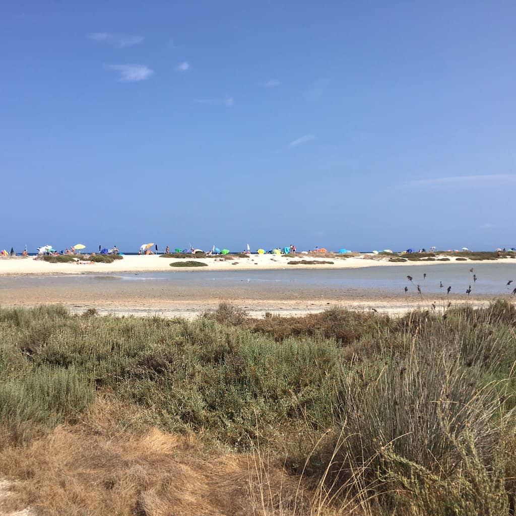 Vibrant Beach Events