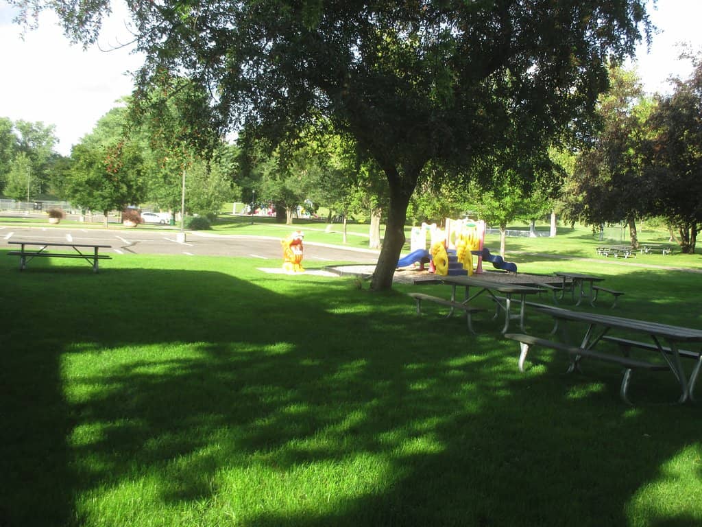 Nature-Inspired Playground