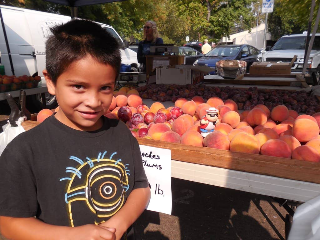Artisan Breads & Baked Goods