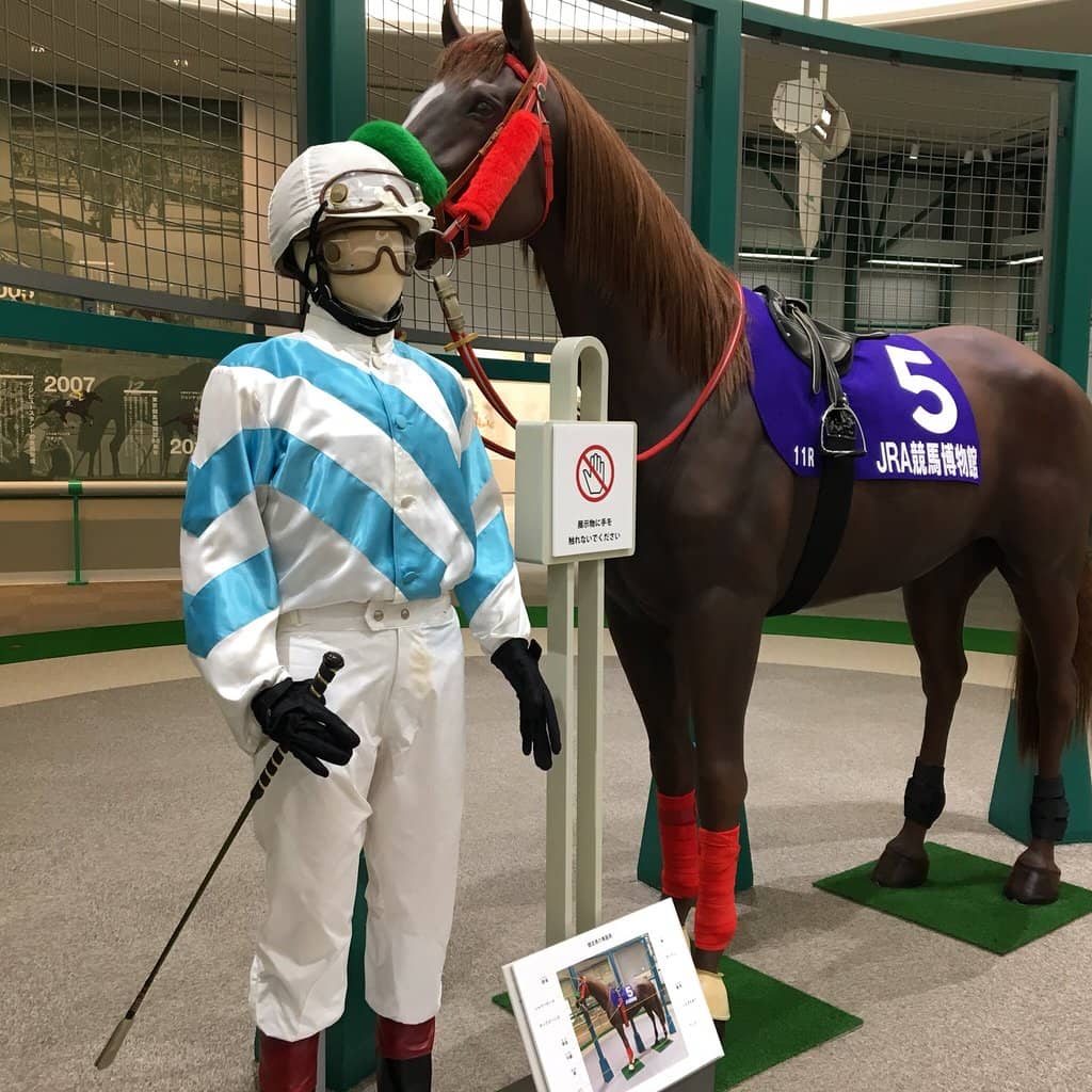 Tokyo Racecourse Grounds