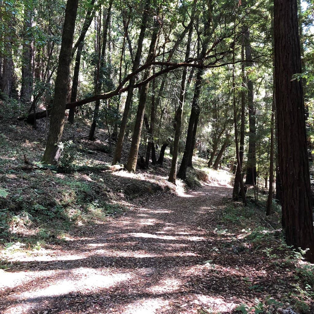 Boat Rentals & Island Picnic