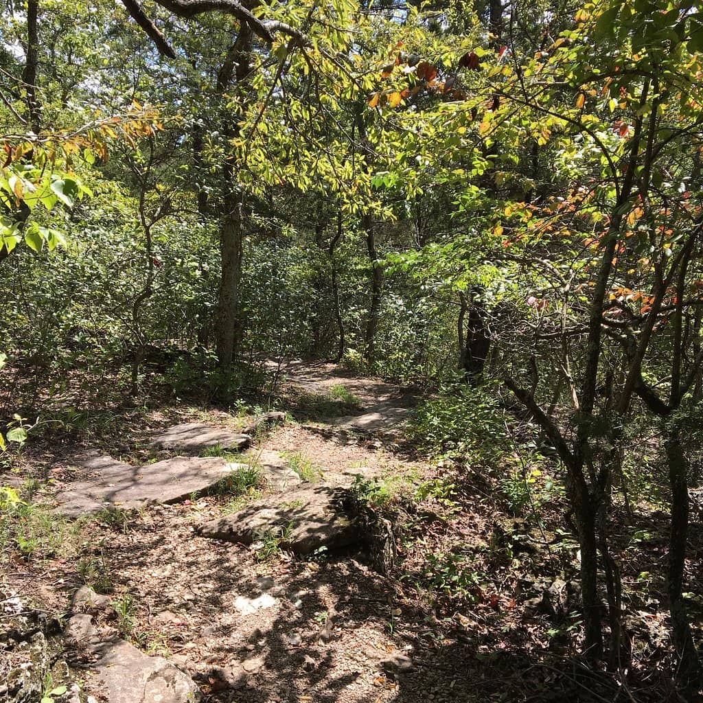 Trail Among the Trees