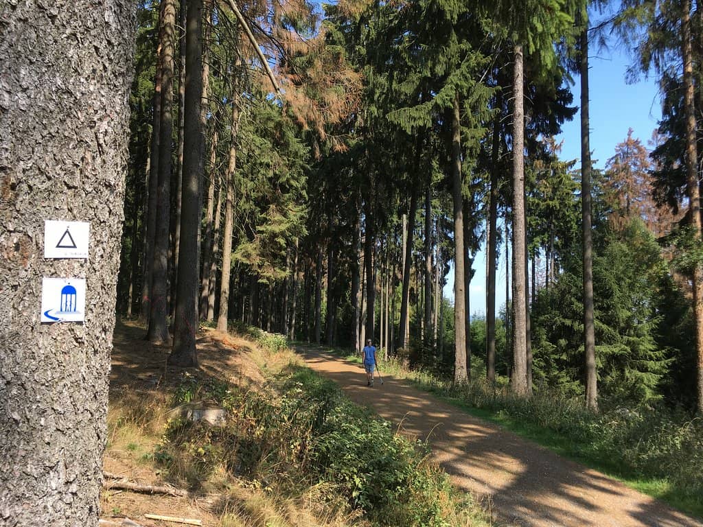 Historic Tower Architecture