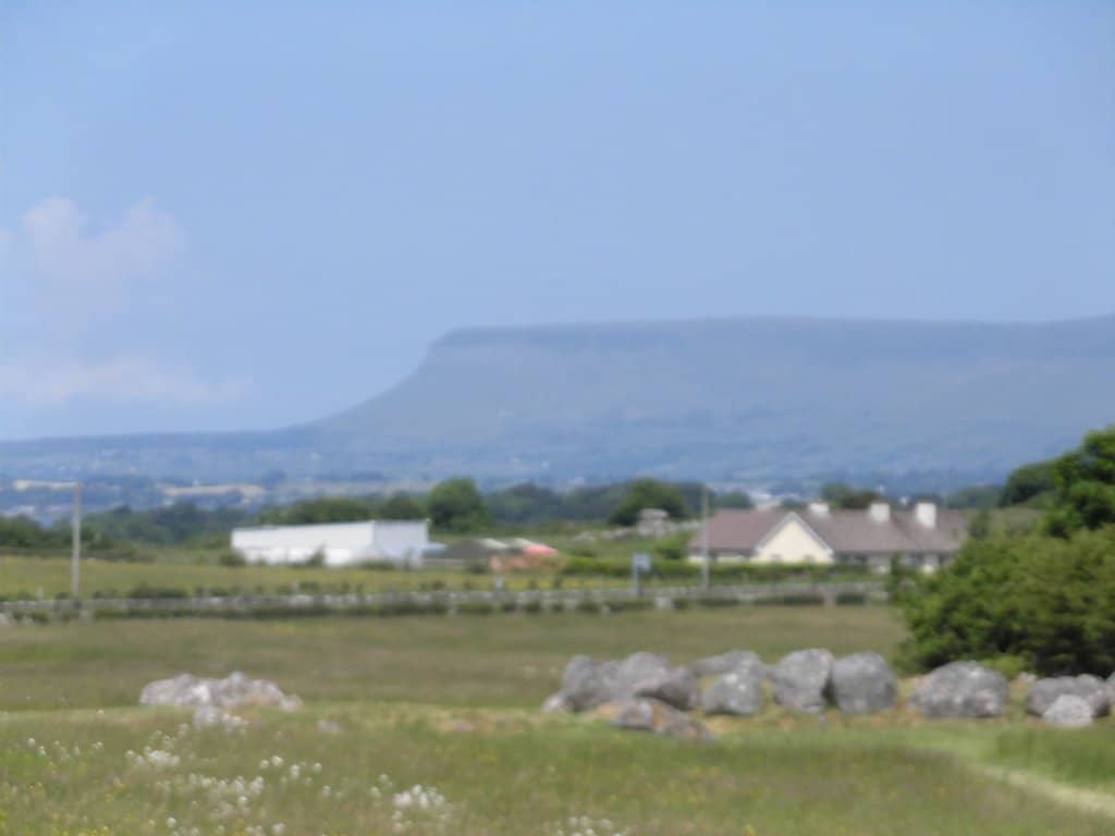 Benbulben Forest Walk