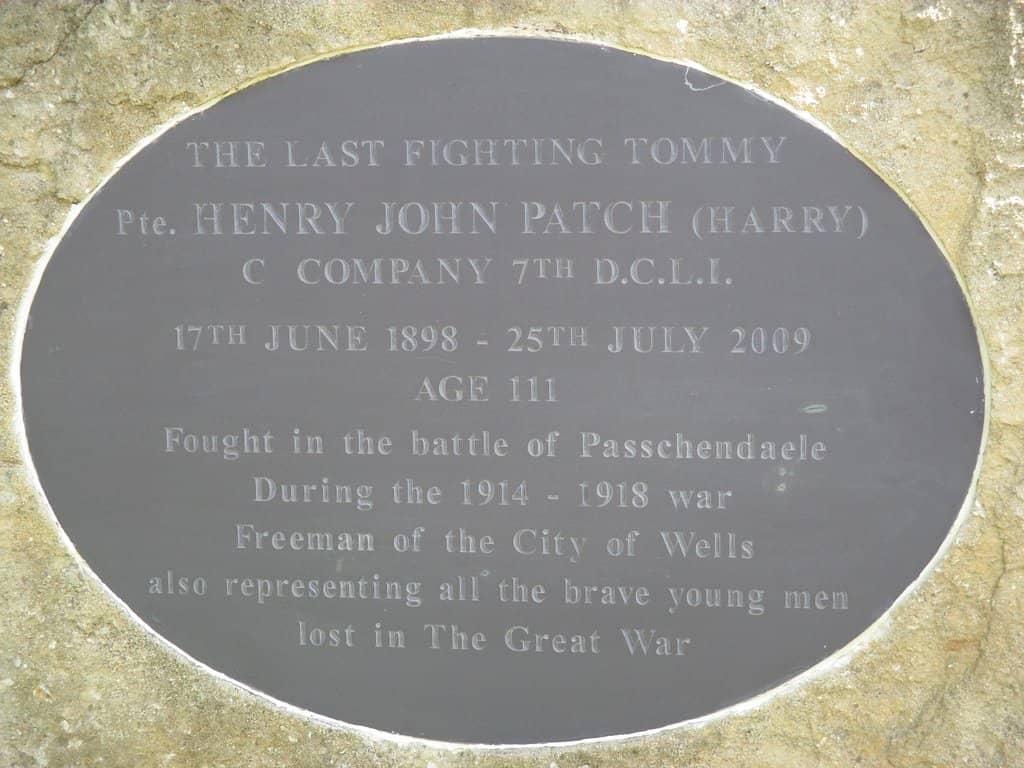 Local Artist Showcase