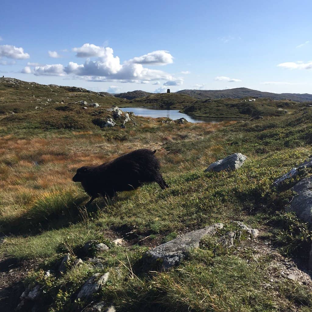 Mountain Summit Experience