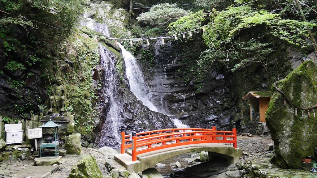 Immersive Nature Walk