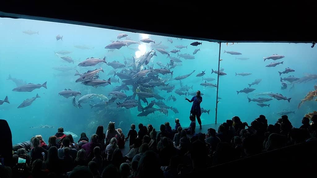 Interactive Exhibits