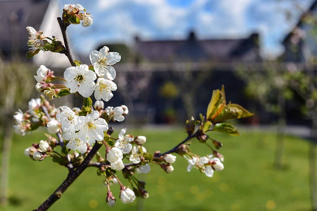 Restored 16th-Century Merchant House