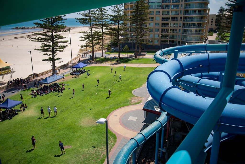Bumper Cars & Merry-Go-Round