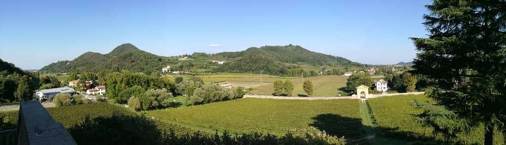 Frescoes by Lambert Sustris