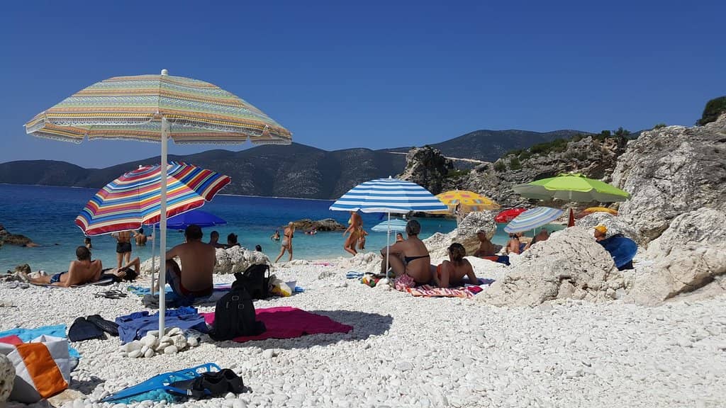 Abundant Marine Life