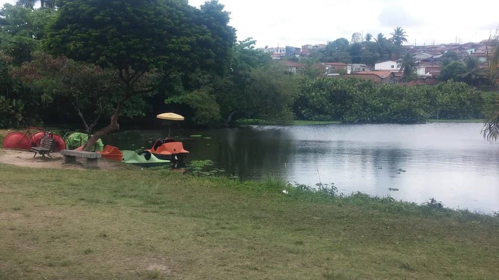 Rescued Wildlife Encounters