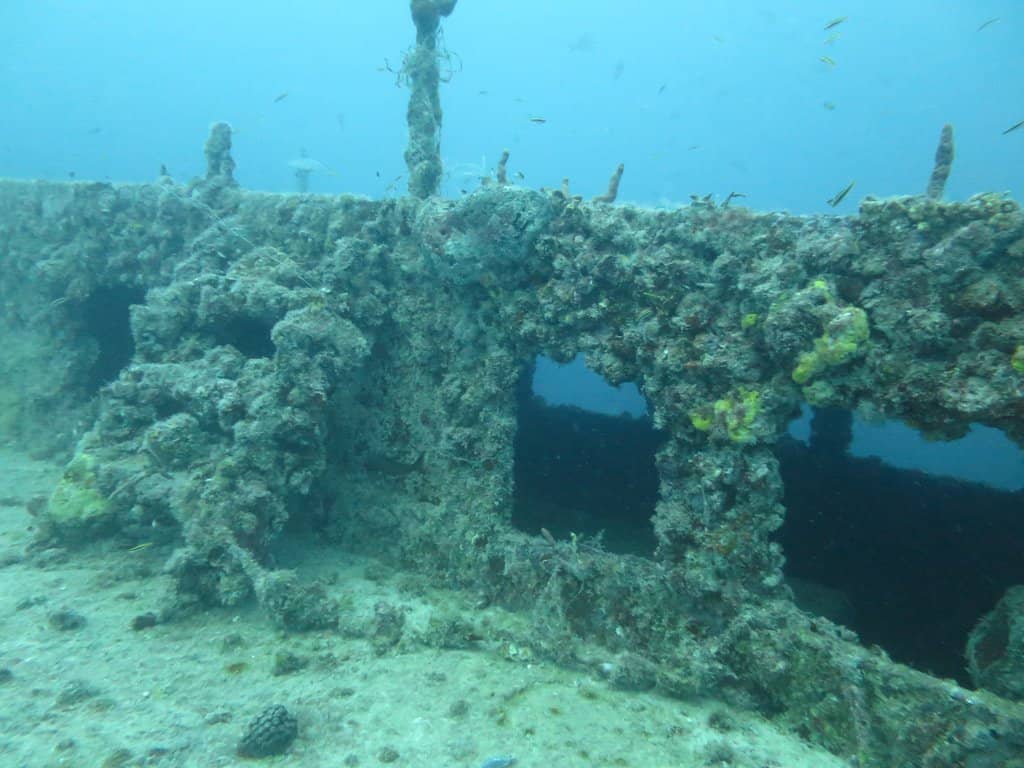 Waterfront Dining Experience