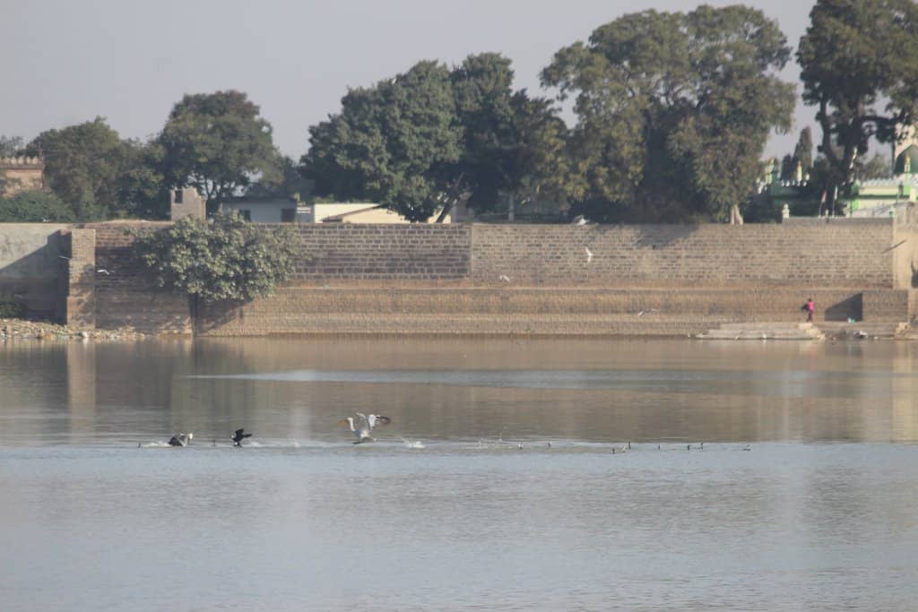 Bhuj Market's Artisan Crafts