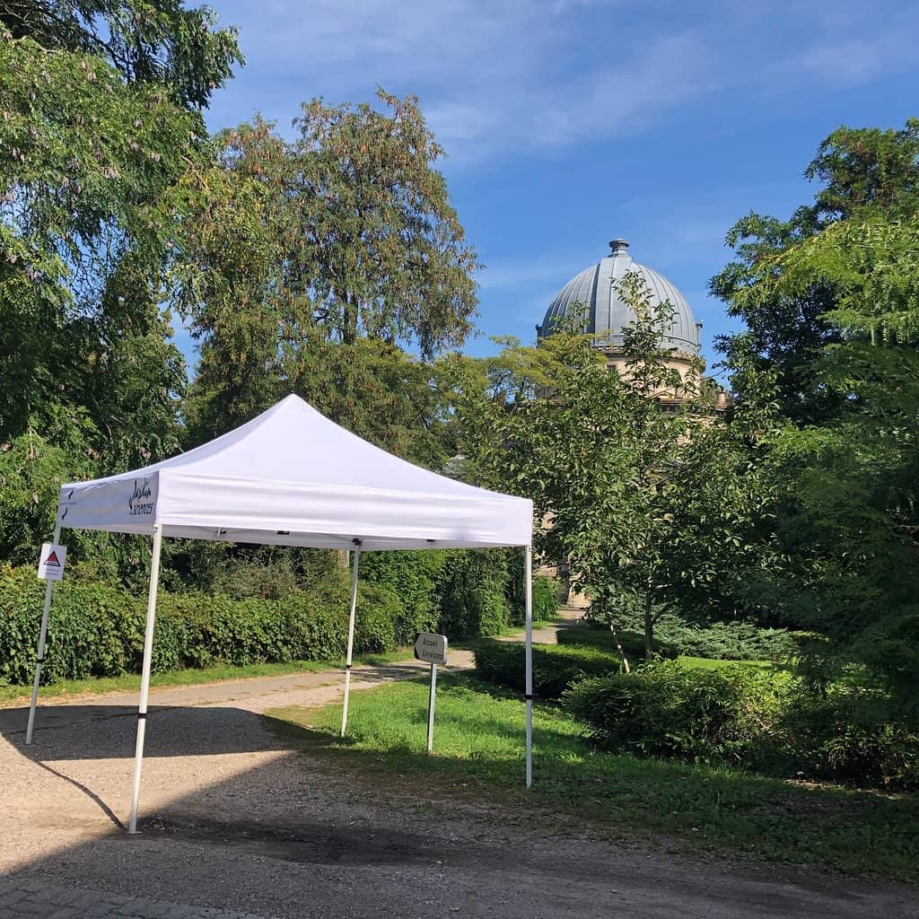 Immersive Dome Shows