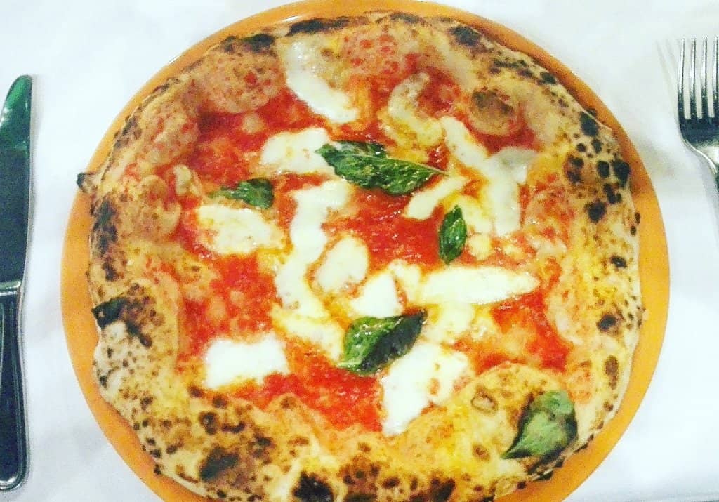 Diverse & Delicious Menu