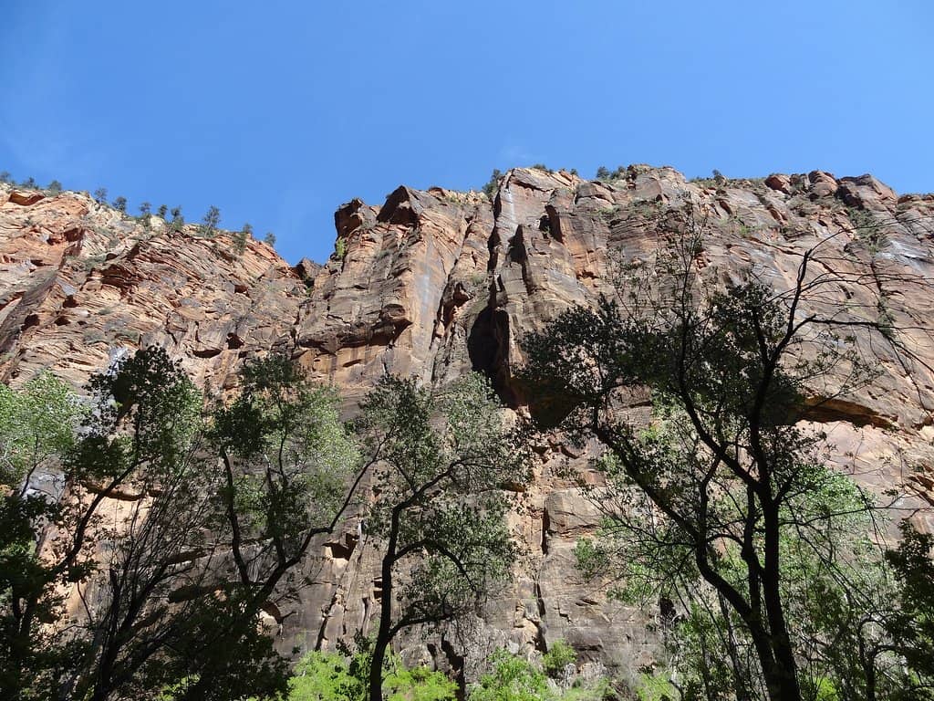 Attenborough Nature Reserve