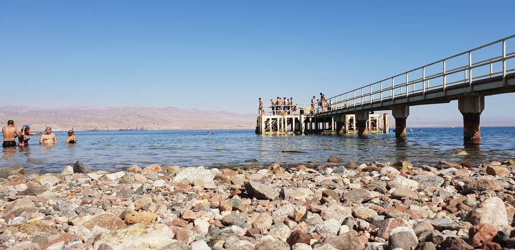 Snorkeling and Diving