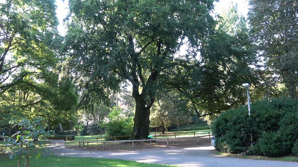Children's Playground