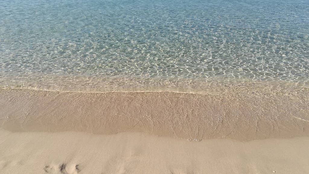 Golden Sandy Shoreline