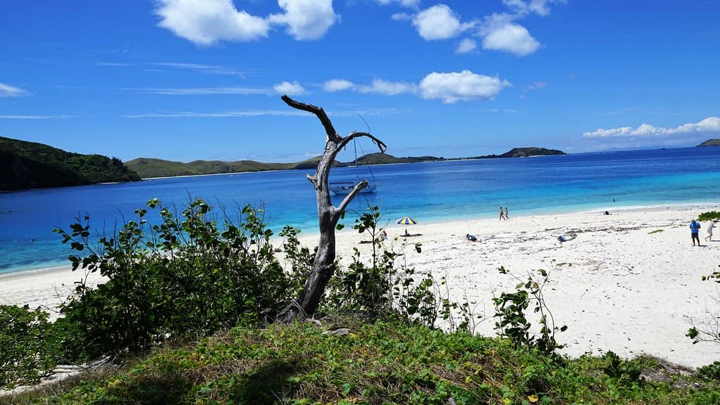 The "Cast Away" Movie Site