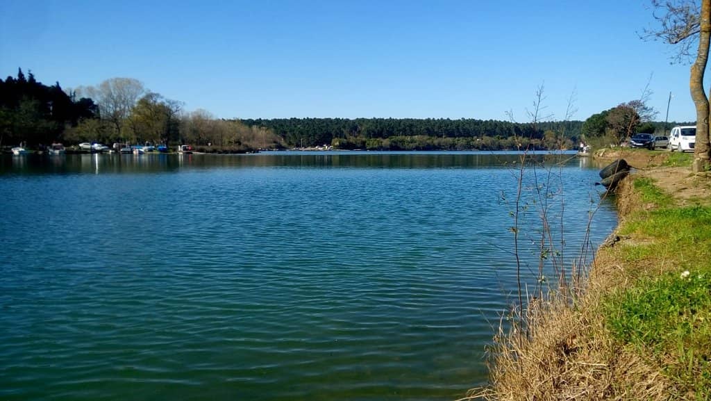 Picnic and Swim Spot