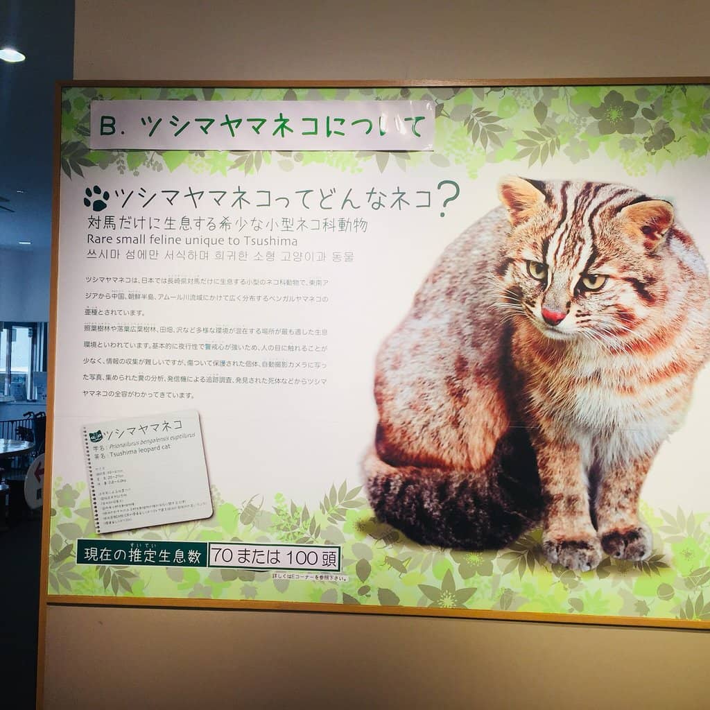 Conservation Efforts Showcase