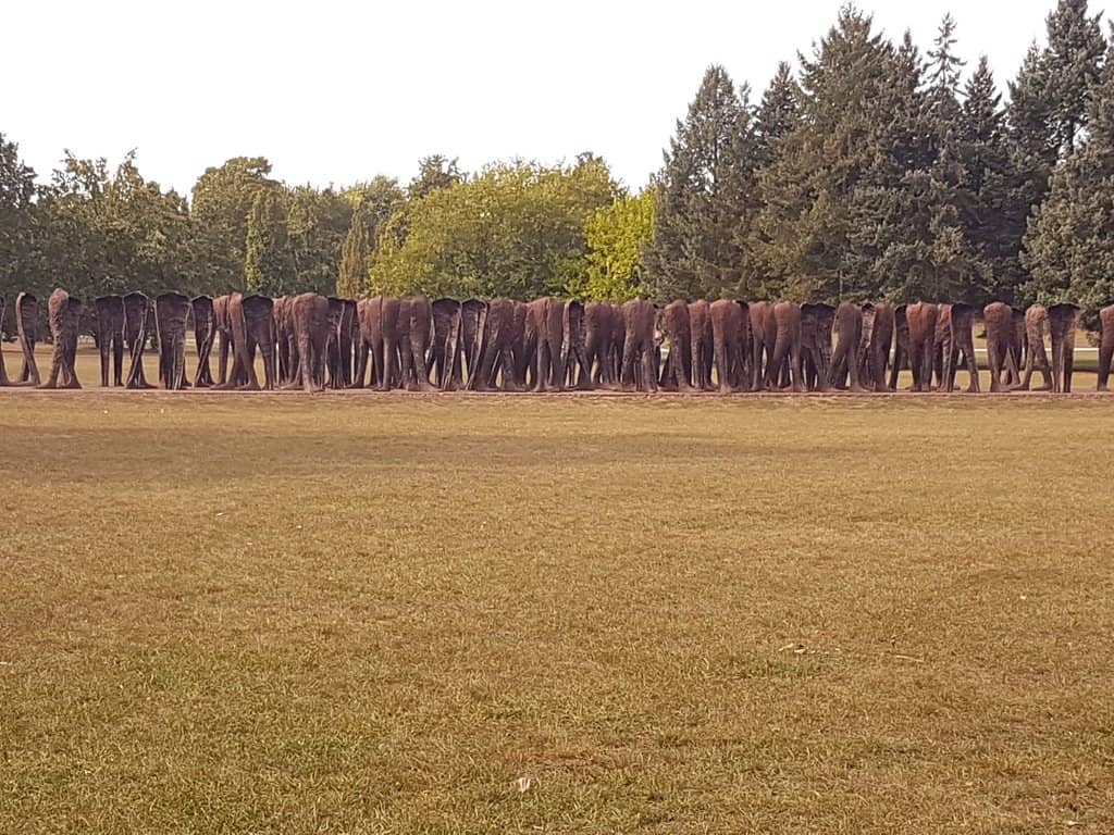 Playgrounds & Green Spaces