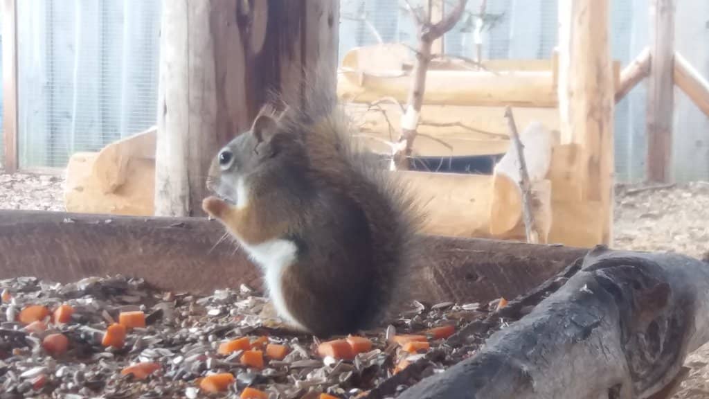 Miniature World & Attractions