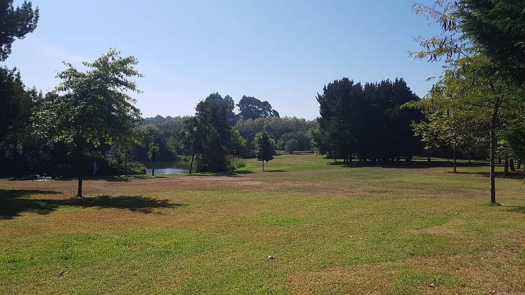 Atlantic Forest Reserve