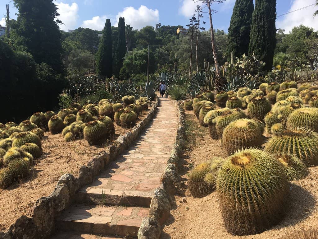 Ocean and Hillside Vistas
