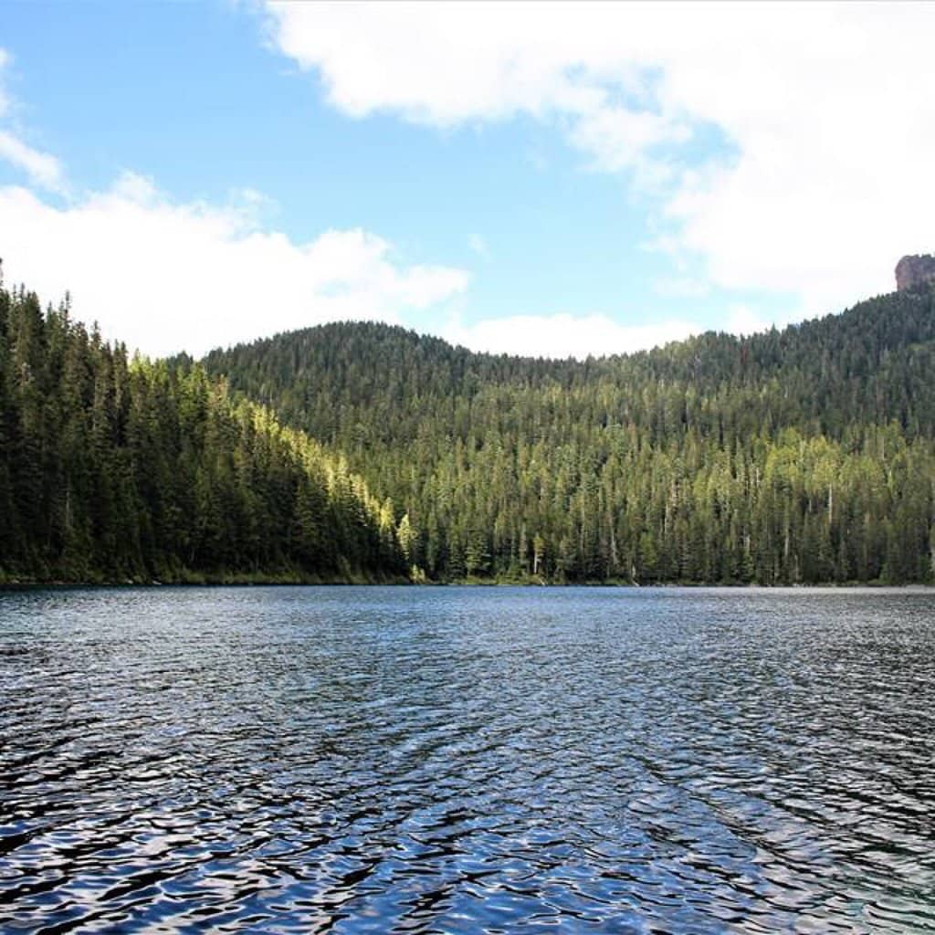 Tolmie Peak Lookout Hike