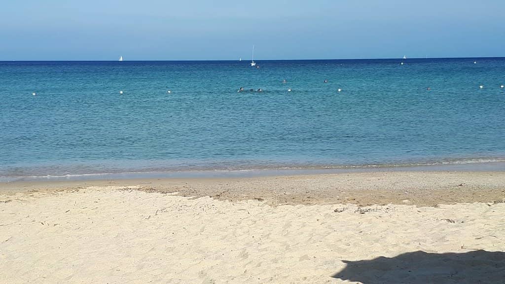 Sunset Paddleboarding