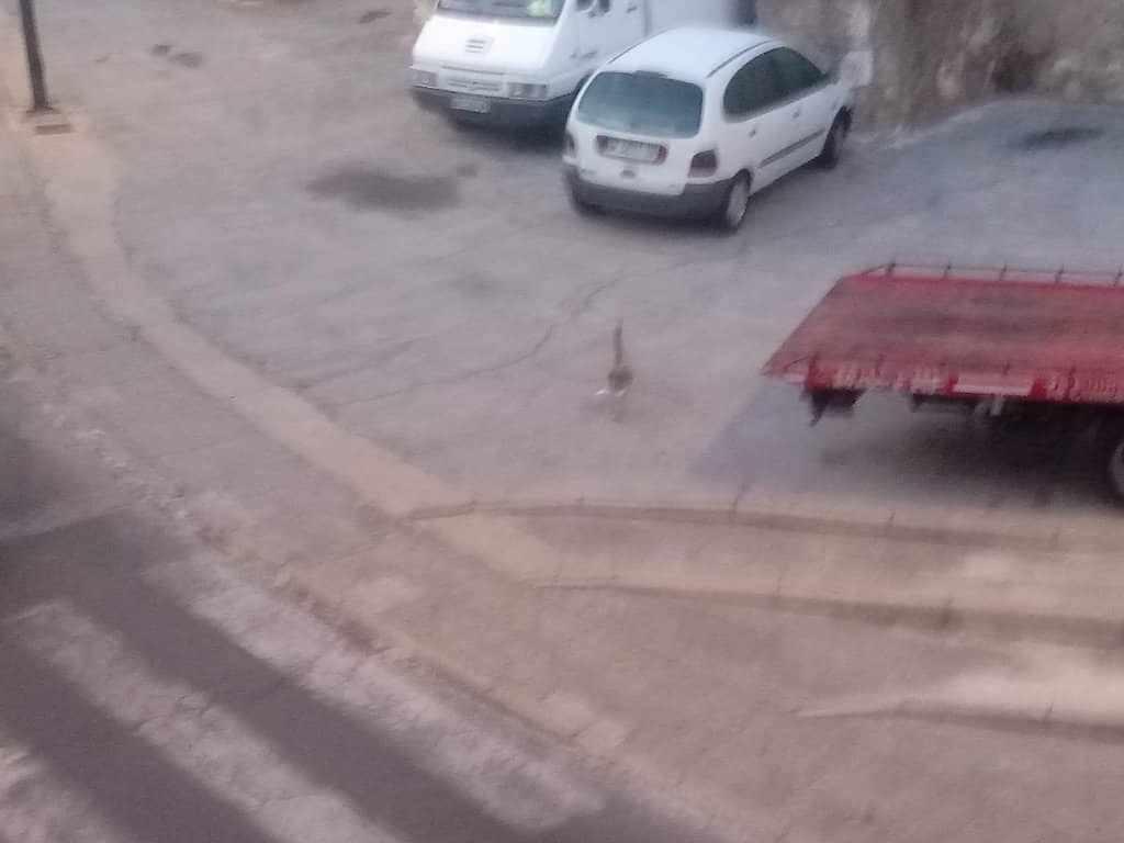 Historic Civil War Structures