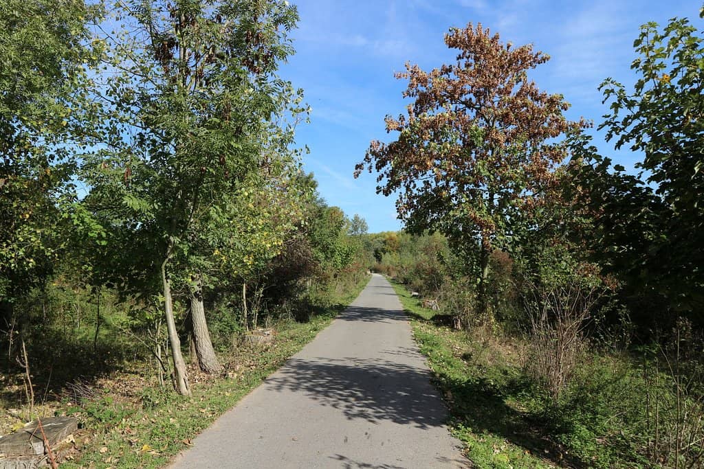 Scenic Nature Trails
