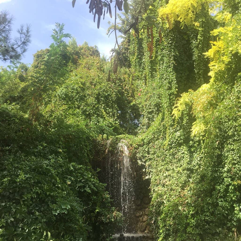 Reverse House Experience