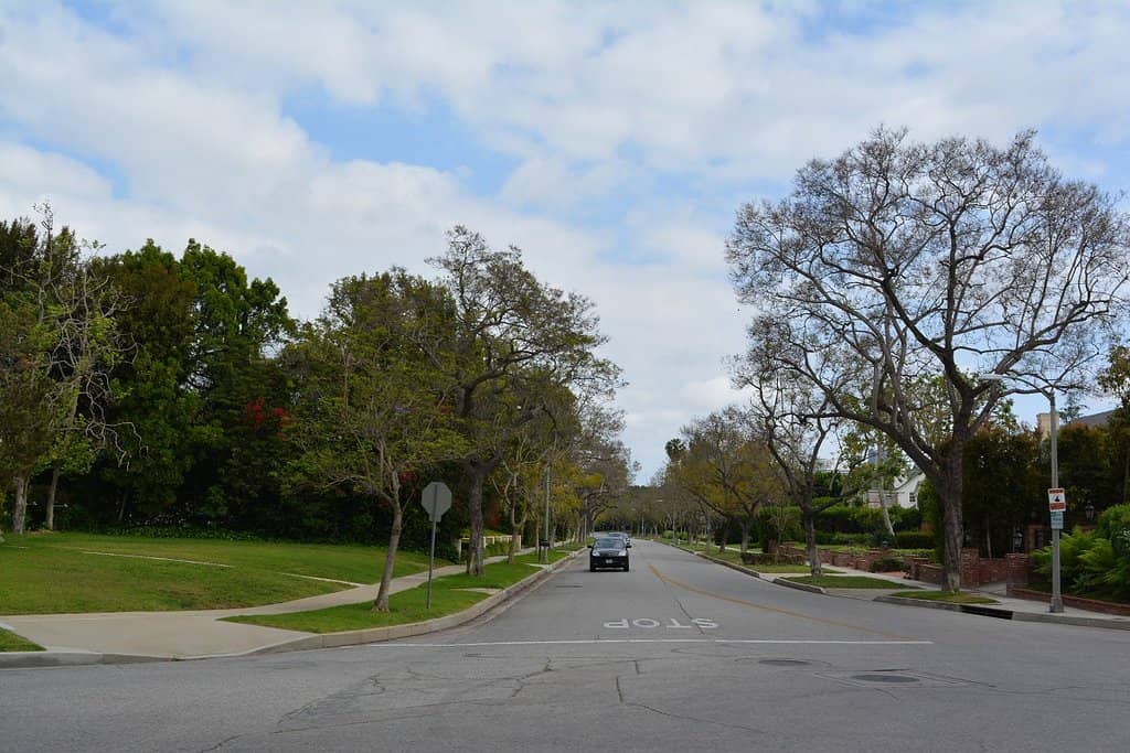 Whispers of Old Hollywood