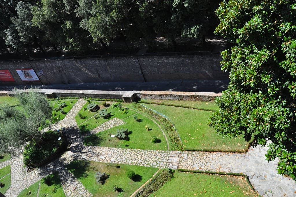 Exotic & Rare Species