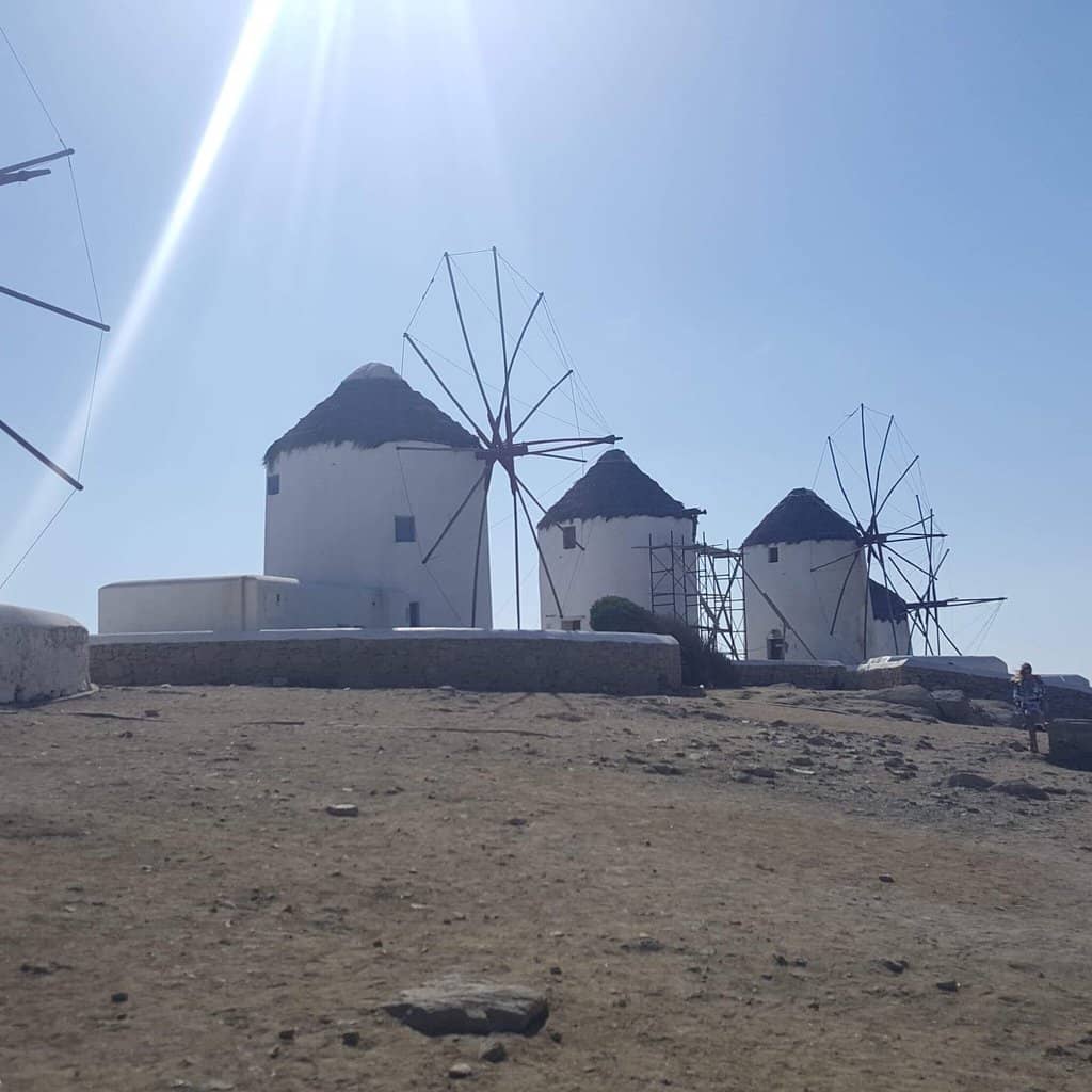 Agricultural Life Exhibits