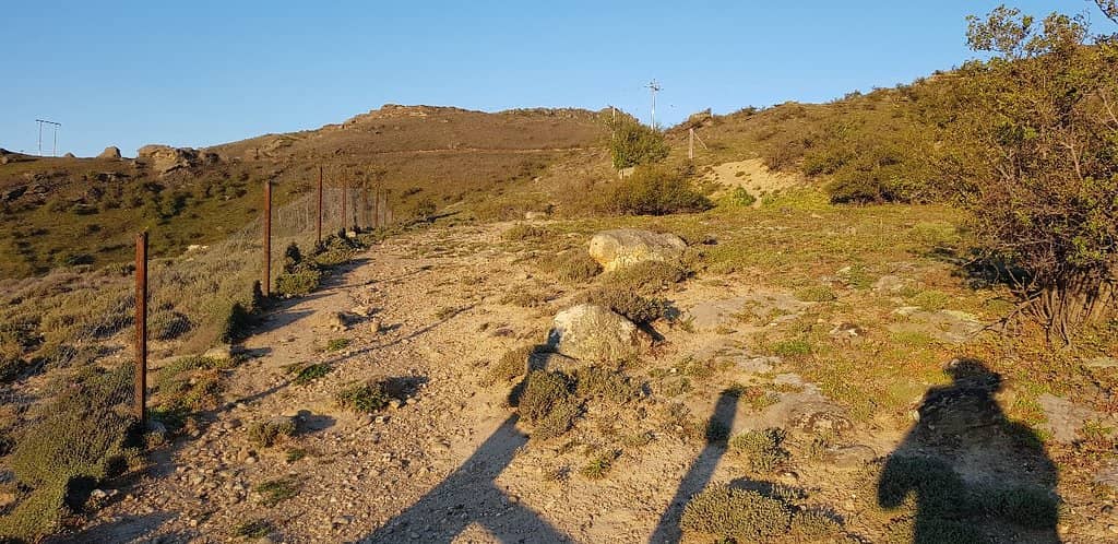 A.Y. Jackson Lookout