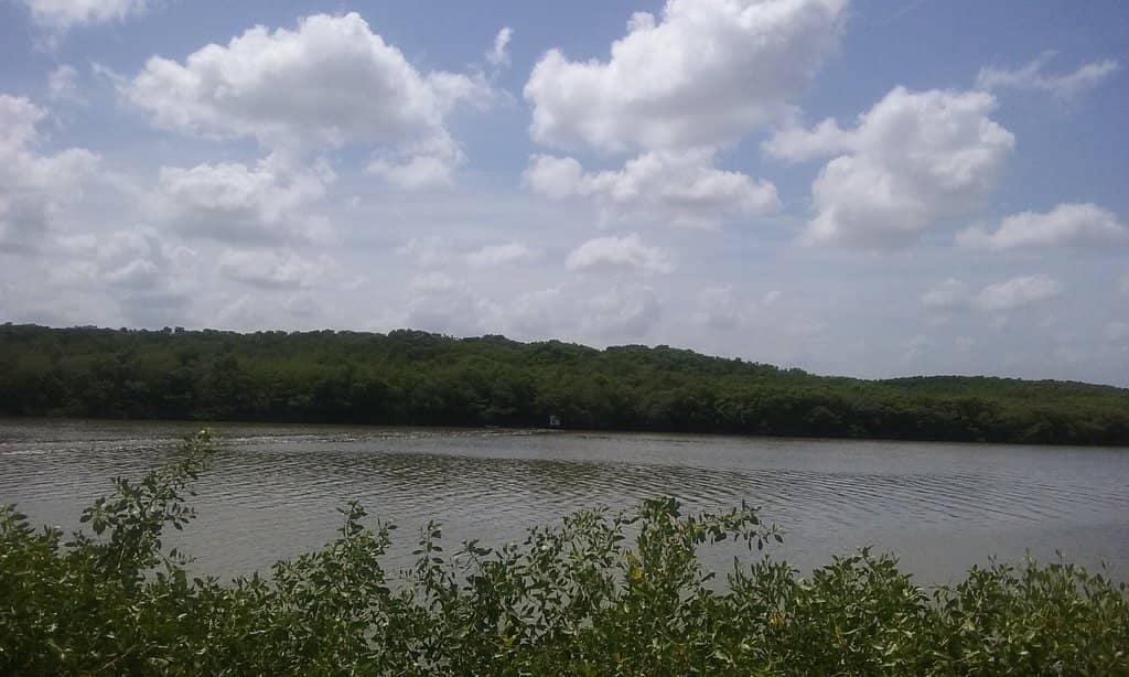 Natural Pools & Cenotes